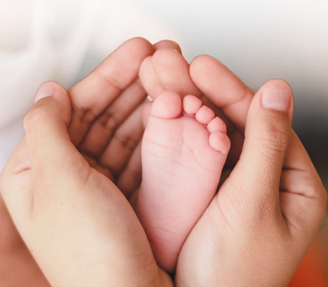 About Ivf 